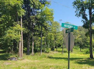 536 Waverly St, Waverly, NY 14892