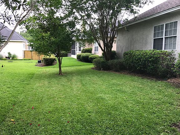 Backyard w/ Meyer's Lemon