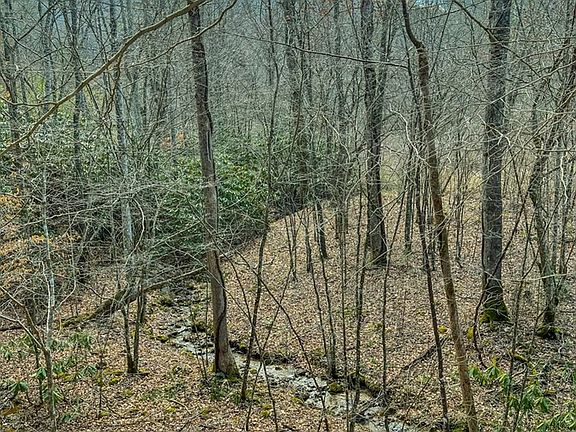 5th image of 0 Reed Howard Ln Lot 0