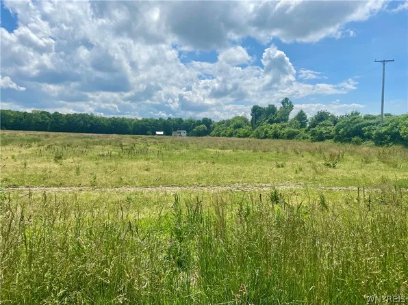 Langford Rd #1, North Collins, NY 14111