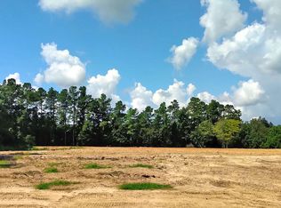 0 Highway 125, Allendale, SC 29810