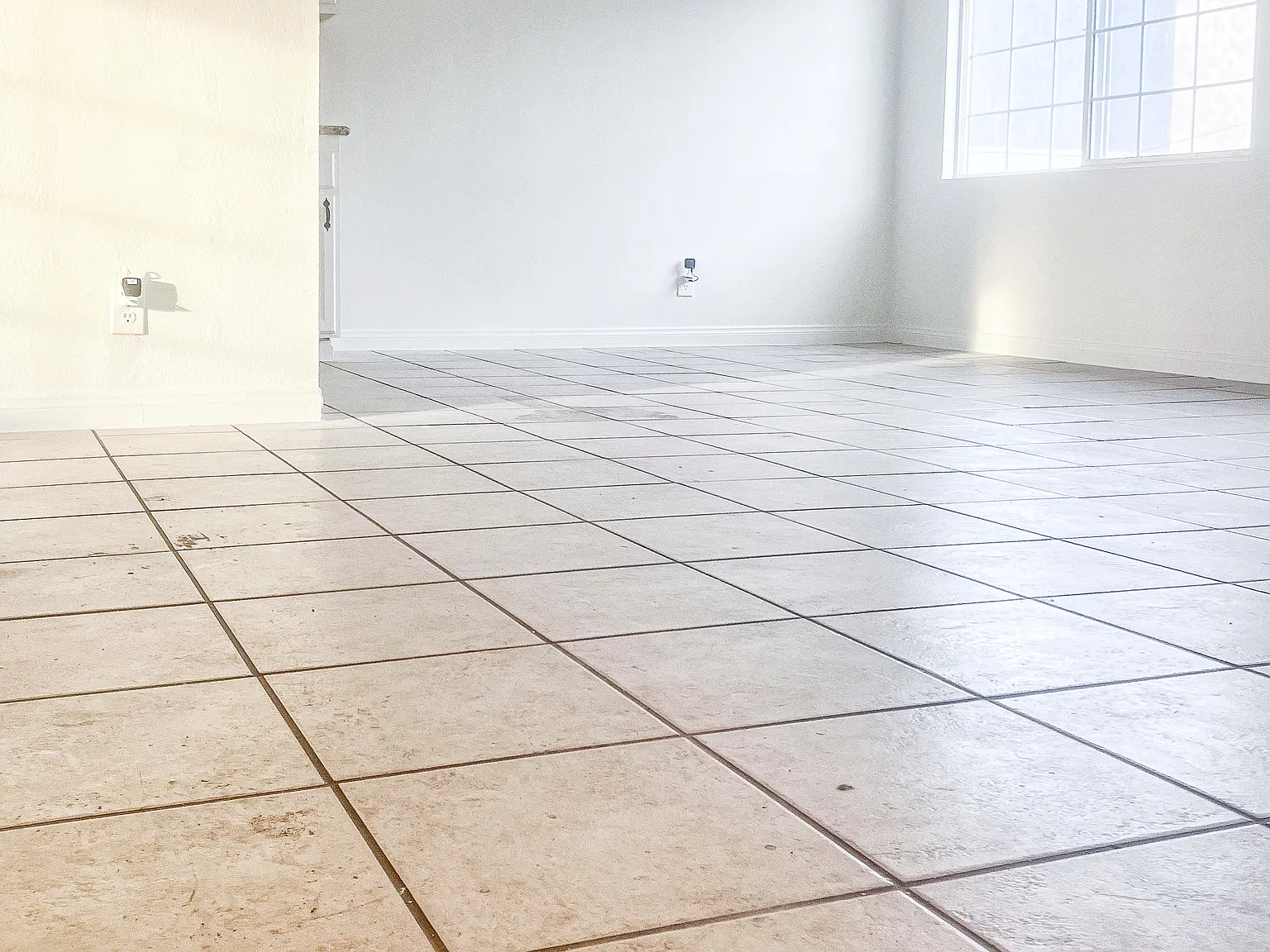 1 bed, 555 sqft, $1,607 — Photo 3