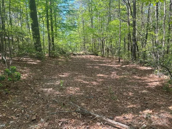 11 Pisgah Preserve Dr, Nebo, NC 28761