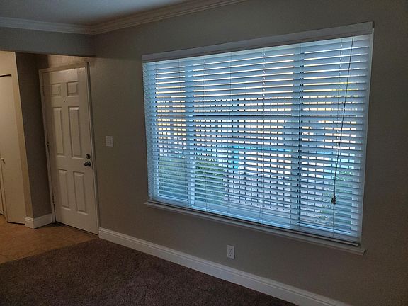 Living Room window