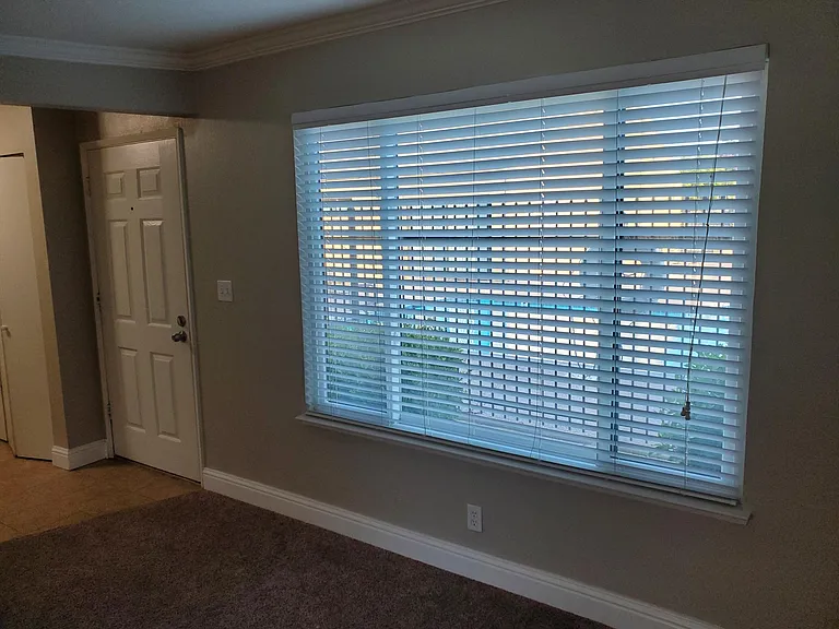 Living Room window