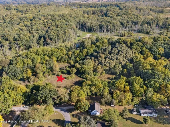 E Mill St, Maple Rapids, MI 48853