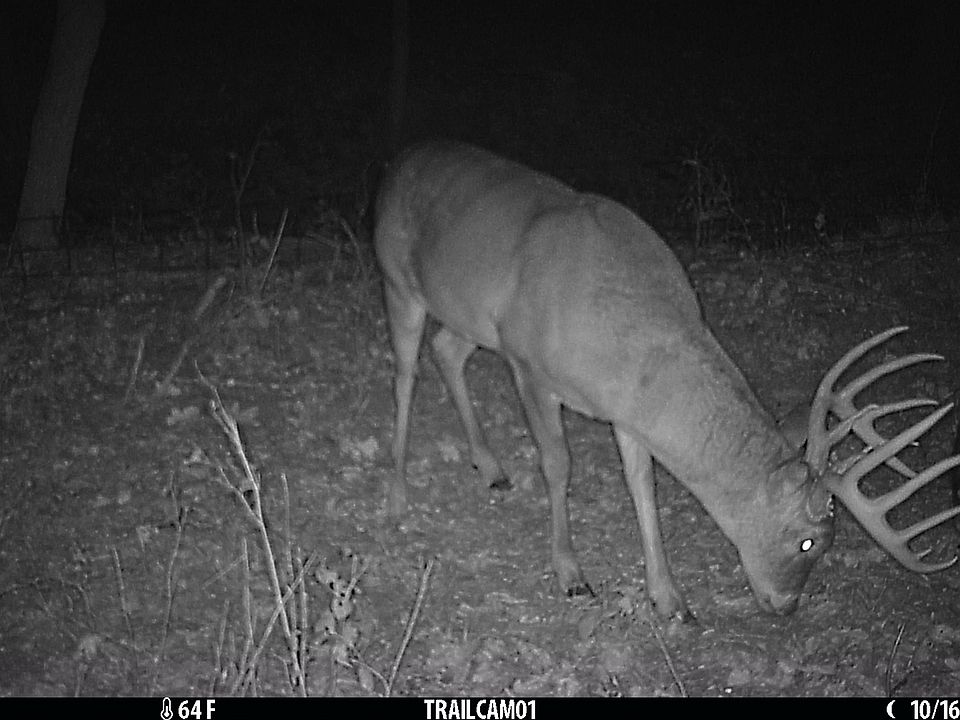 1st image of 5020 N Table Mound Rd