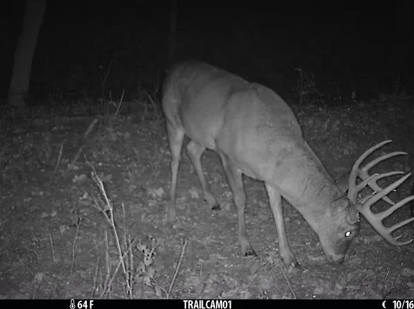 5020 N Table Mound Rd, Independence, KS 67301