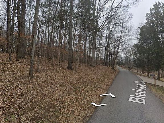 5th image of Bledsoe Drive
