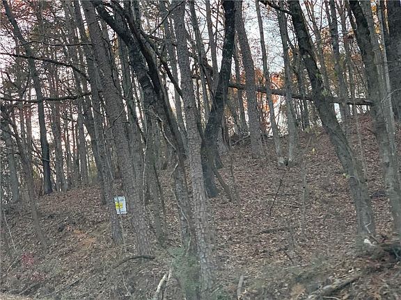 2nd image of 1879 Tapawingo Dr Lot 0