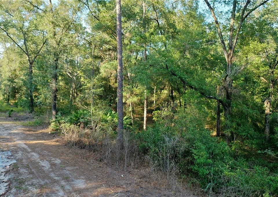 2nd image of 6572 N Lecanto Hwy