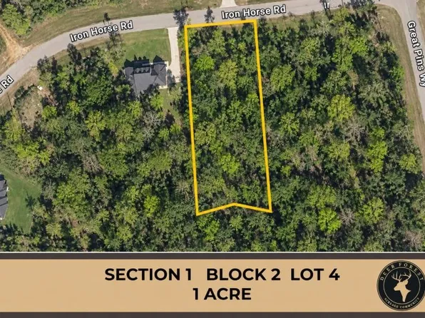 284 Iron Horse Rd Lot 4, New Waverly, TX 77358