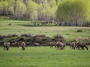 Buckhorn Mountain Rd, Montrose, CO 81403