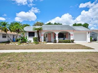 8319 Fishhawk Ave, New Port Richey, FL 34653