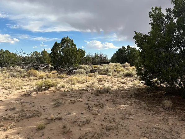 7273 N, Saint Johns, AZ 85936