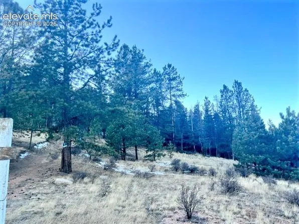 233 Rabbil Creek Dr, Florissant, CO 80816
