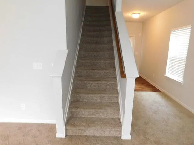 152 Fern Walk — Photo 9