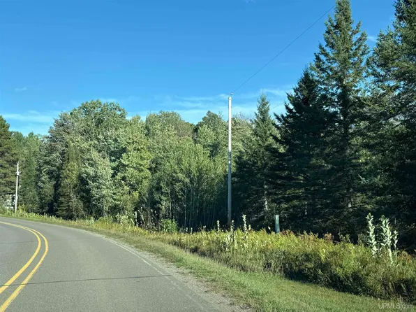 Lind Rd, Crystal Falls, MI 49920