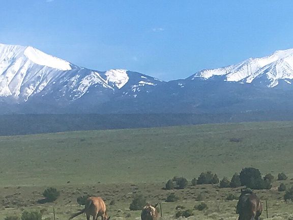 2nd lot view from porch