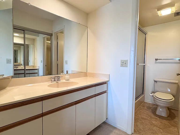 Primary Bathroom w/ walk-in shower!