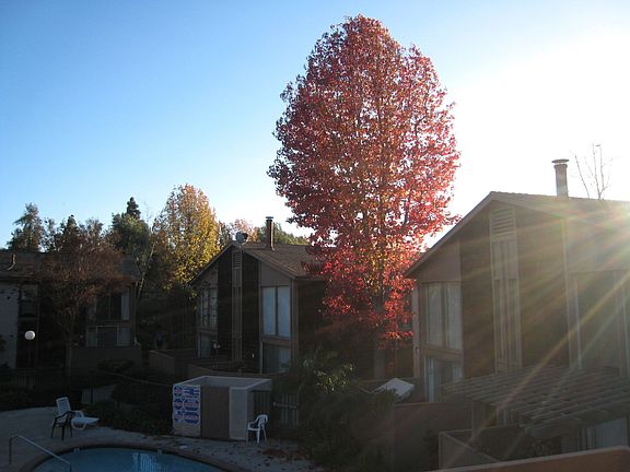 3rd image of 1082 Cabrillo Park Dr #B