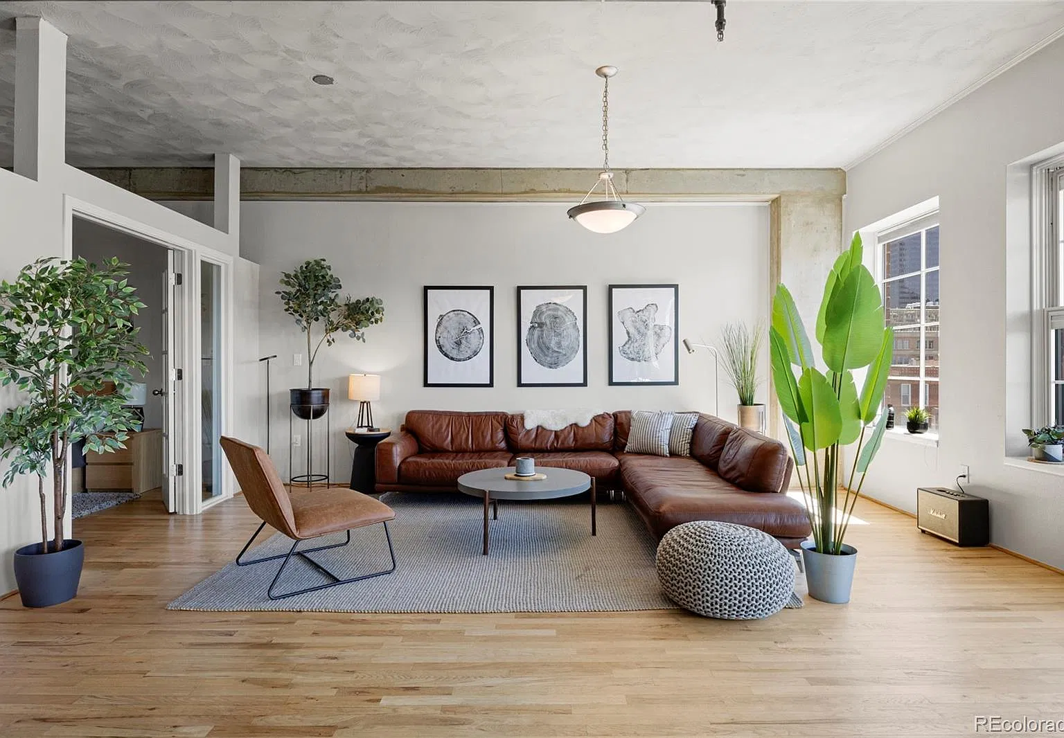 Palace Lofts — Photo 1