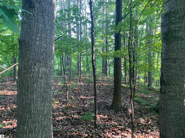 LOT 35 Valley View Rd #35, Bellaire, MI 49615