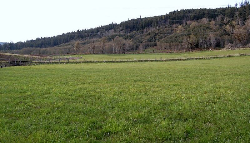 2nd image of 9999 Hwy 101 W Lot 13
