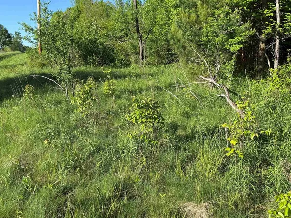 Lot 4 COUNTY ROAD Z, Aniwa, WI 54408