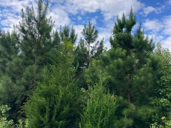 Kelly Rd, Kinsale, VA 22488