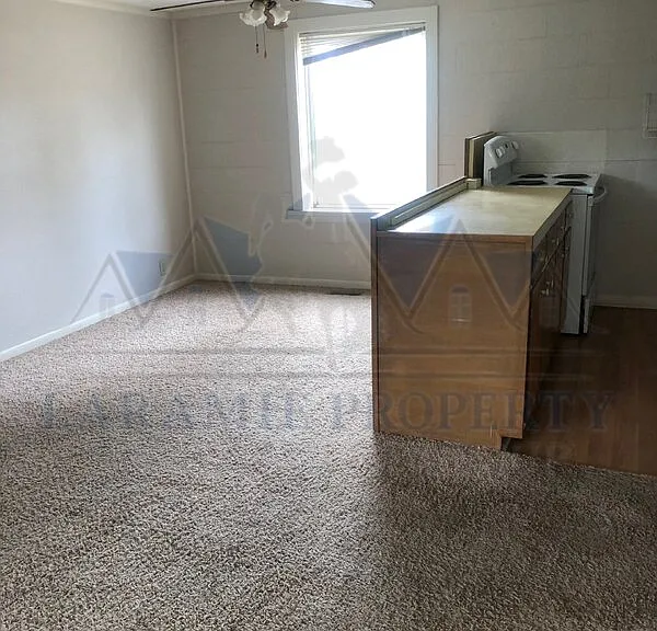 529 Spring Creek Dr #4 — Photo 4