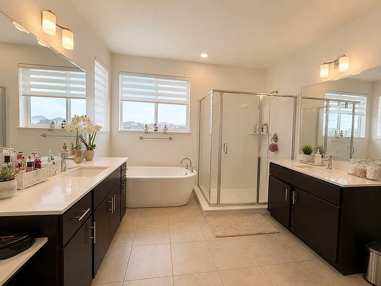 Master suite toilet & bath