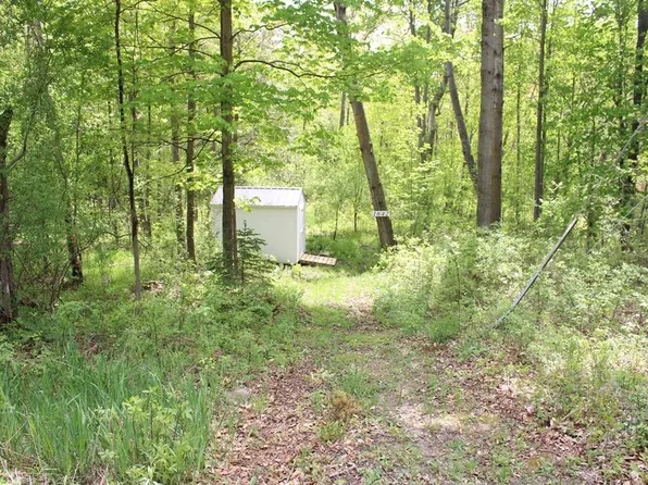 1642 Columbus Dr, Farwell, MI 48622