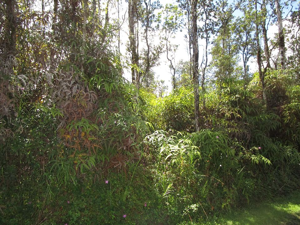 2nd image of Kahoolawe Rd Lot 1132