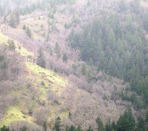1st image of 163 Beacon Hill Dr
