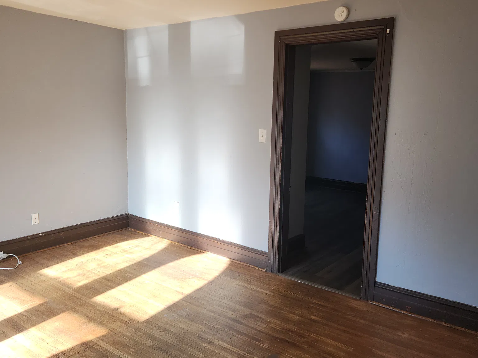 1 bed, $900 — Photo 3