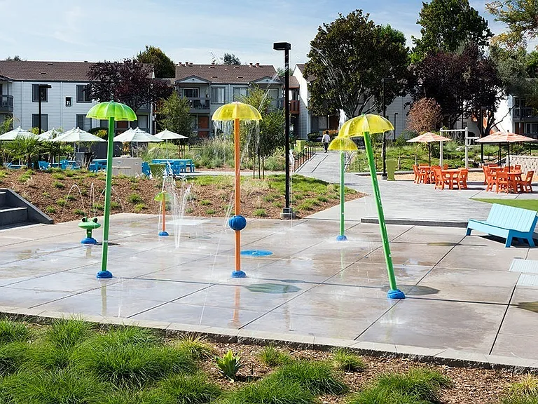 Park Kiely — Photo 42