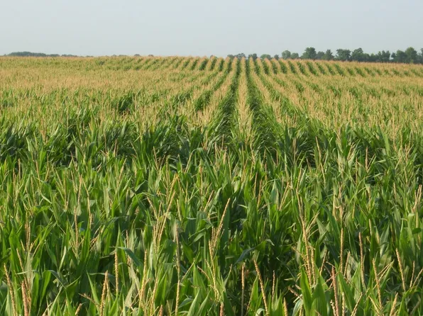 1 Elm Sugar Rd, Van Wert, OH 45891