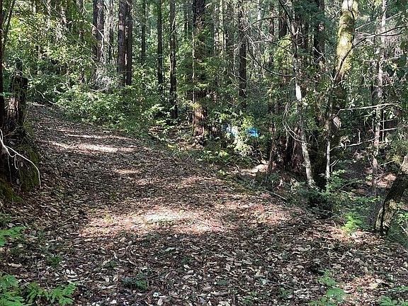 4th image of 000 Love Creek Rd