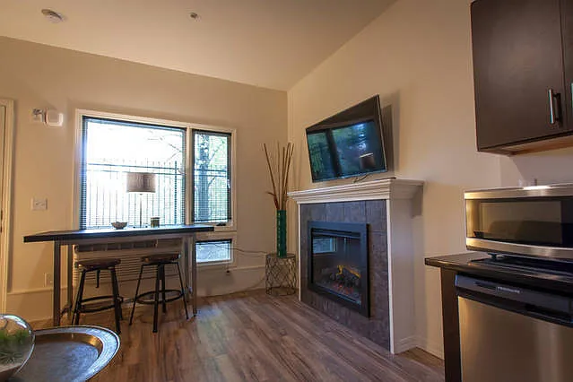 Goose Apartments — Photo 25