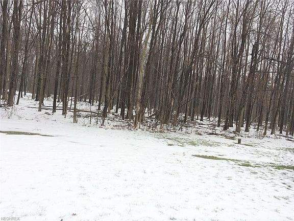 4th image of 155 Sterncrest Dr