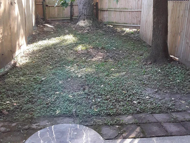 31 Beaver Oak Ct — Photo 8