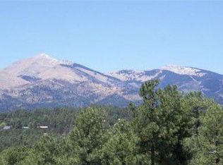300 Ll Davis Dr, Ruidoso, NM 88345