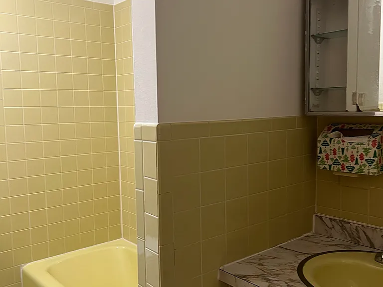 25 Diane Ct — Photo 16