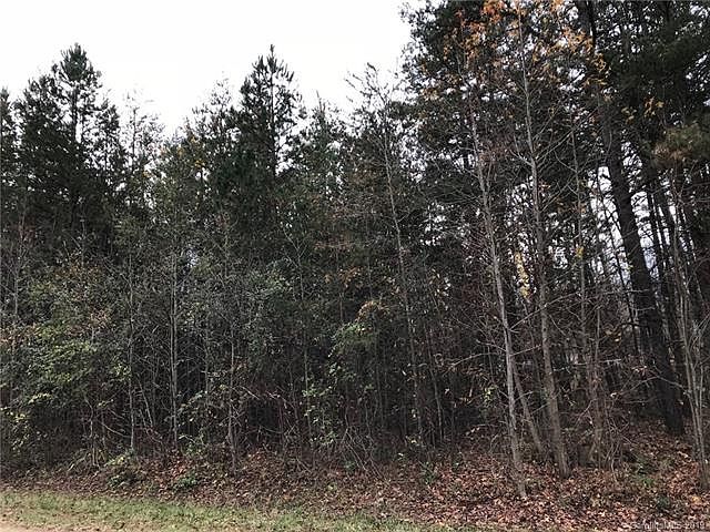 2nd image of 223 Branchwood Cir