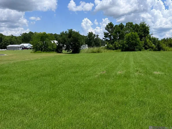 17070 Coles Crk, Springfield, LA 70462