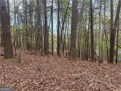 117 Dogwood Ct, Waleska, GA, 30183