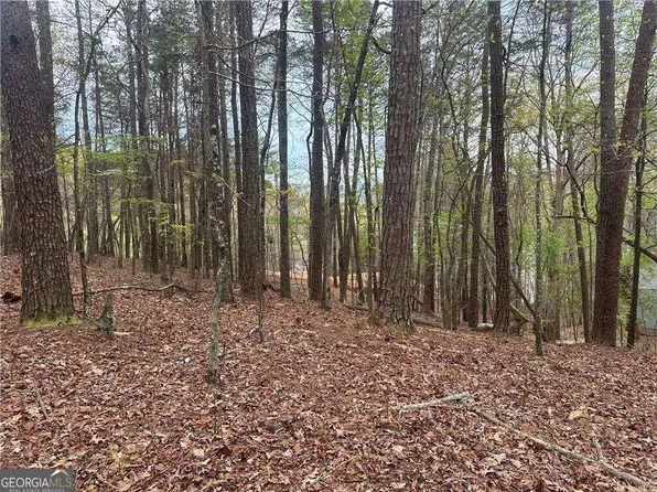 117 Dogwood Ct, Waleska, GA 30183