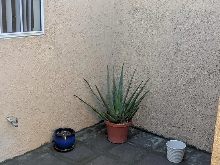 66375 Buena Vista Ave — Photo 49