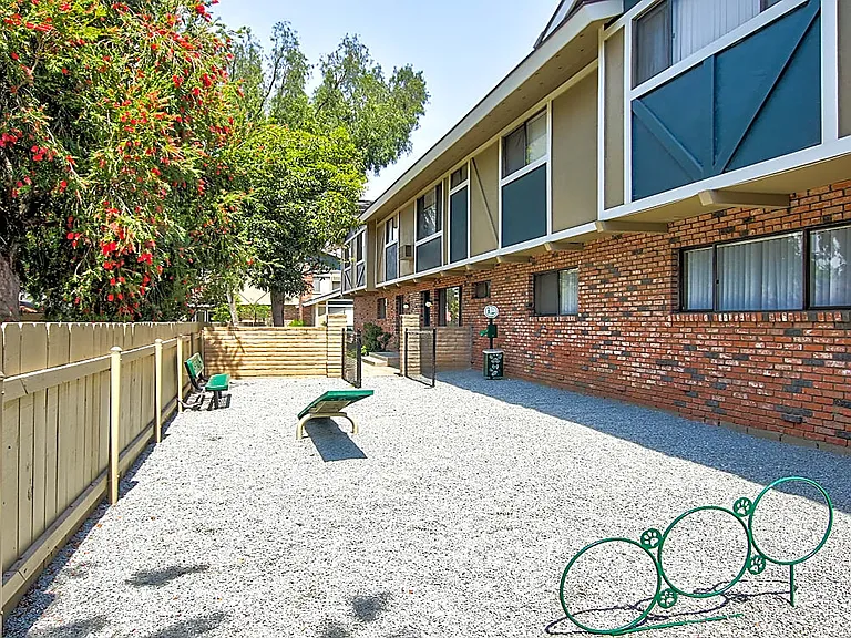 Let your furry friends run around at our dog park